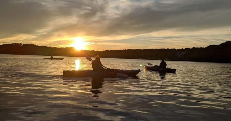 Cape Cod: Sunset Kayak Tour - The Experience: What to Expect from the Sunset Kayak Tour