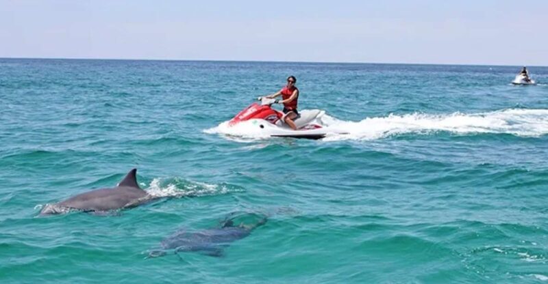Cape Coral and Fort Myers: Wild Life Jet Ski Tour - Key Points