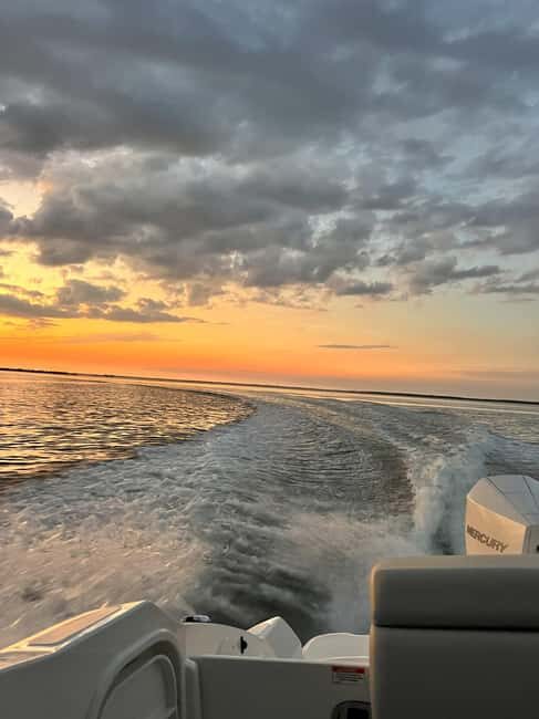 Cape Coral: Private Dolphin and Sunset Cruise - Why This Tour Is a Great Choice
