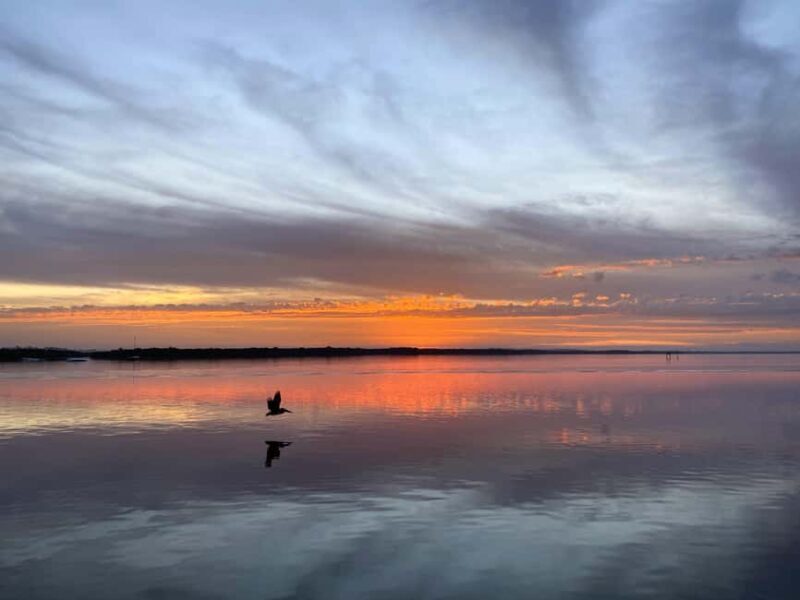Cape Coral: Private Dolphin and Sunset Cruise - The Sum Up