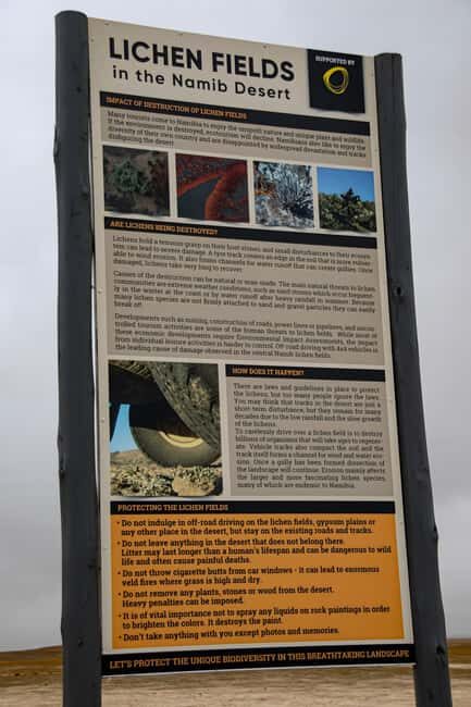 Cape Cross and Henties Bay Guided Tour SkeletonCoast Namibia - Key Points