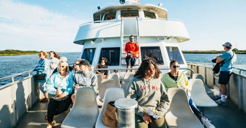 Cape May: Cape May Island Sunset Cruise & Dolphin Watching - An Introduction to the Cape May Sunset & Dolphin Watching Tour