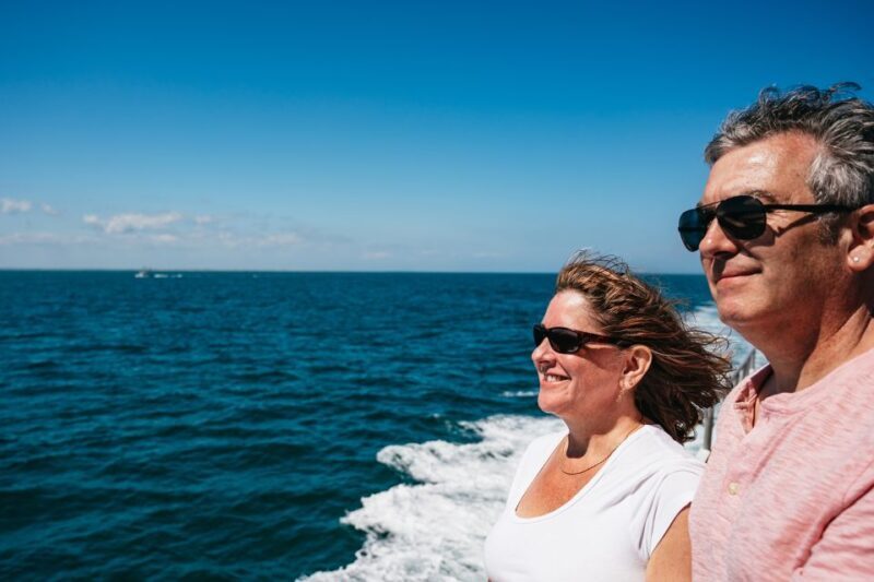 Cape May: Jersey Shore Whale and Dolphin Watching Cruise - The Itinerary: What You Can Expect