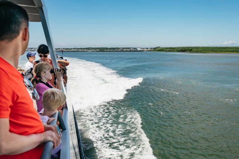 Cape May: Jersey Shore Whale and Dolphin Watching Cruise - The Sum Up