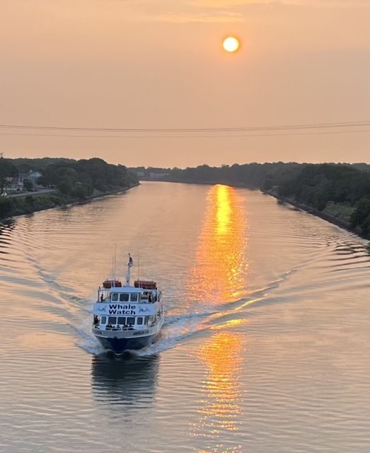 Cape May: Sunset Dolphin Watching Cruise with Food - An Enjoyable and Informative Cruise Experience