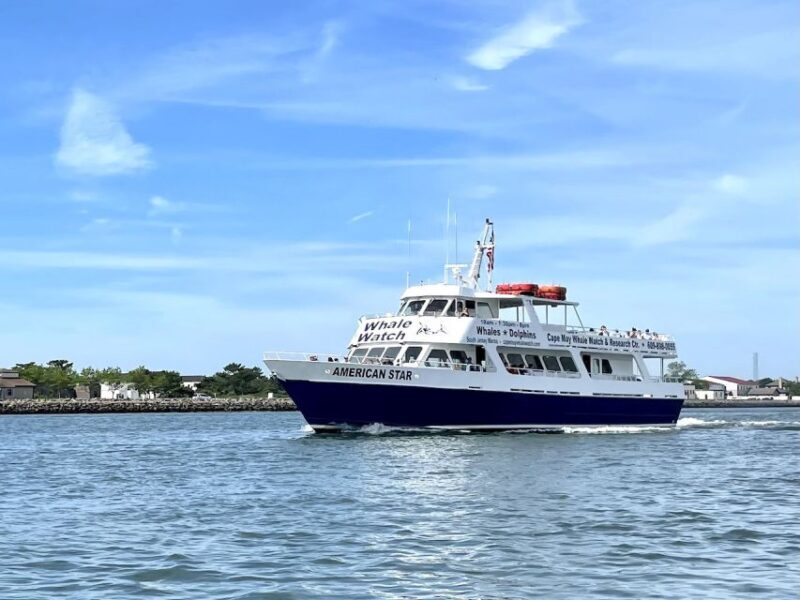 Cape May: Sunset Dolphin Watching Cruise with Food - Value and Overall Impression