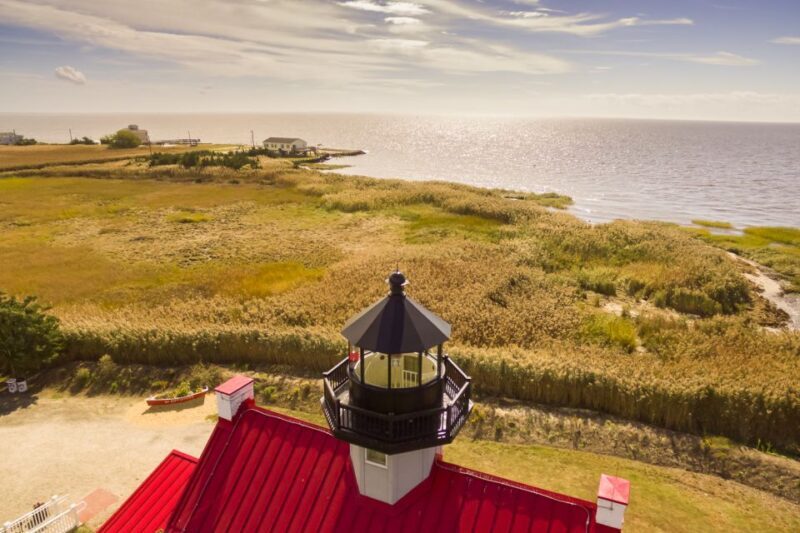 Cape May: Weekend Whale and Dolphin Watching Cruise - Key Points