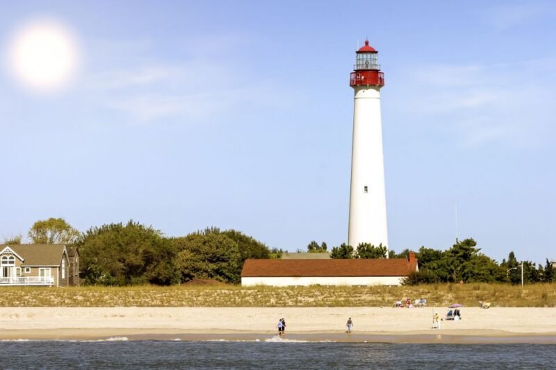 Cape May: Weekend Whale and Dolphin Watching Cruise - The Sum Up: Who Will Benefit Most?