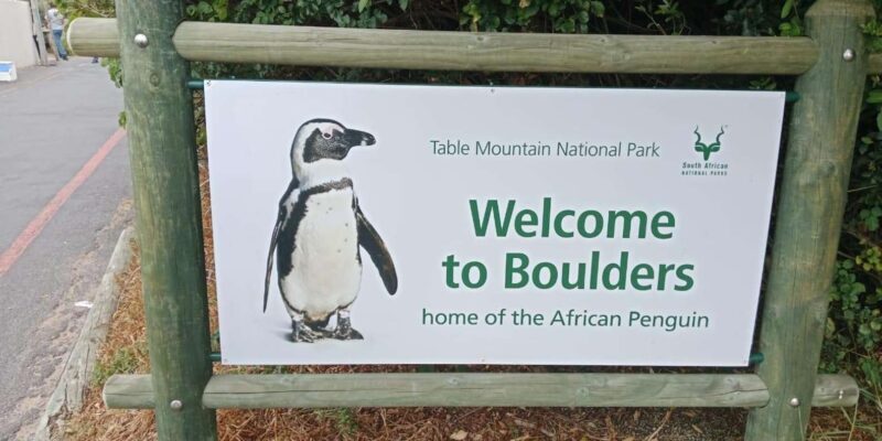 Cape Of Good Hope and Penguins viewing Private Day Tour - Key Points