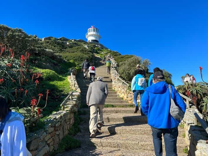 Cape Of Good Hope and Penguins viewing Private Day Tour - Detailed Breakdown of the Experience