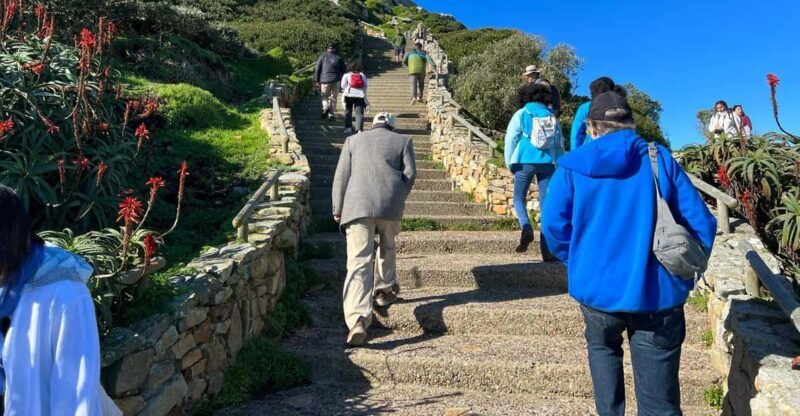 Cape Of Good Hope and Penguins viewing Private Day Tour - In-Depth: Why This Tour Offers Good Value