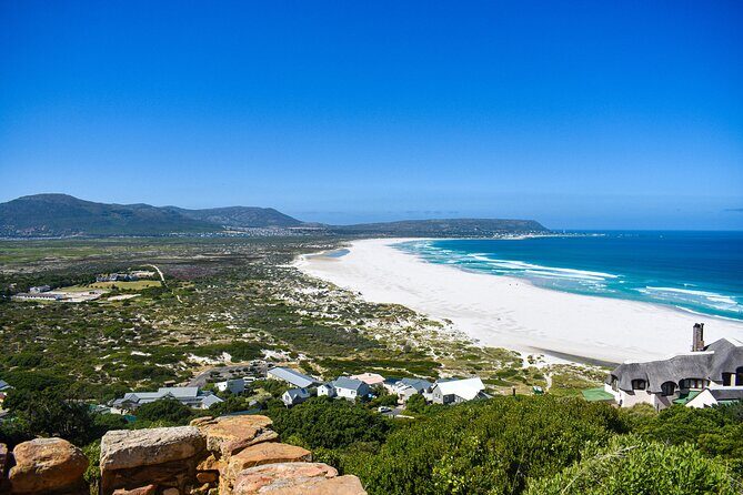 Cape of Good Hope & Boulder Penguins Full-Day Tour from Cape Town - The Sum Up