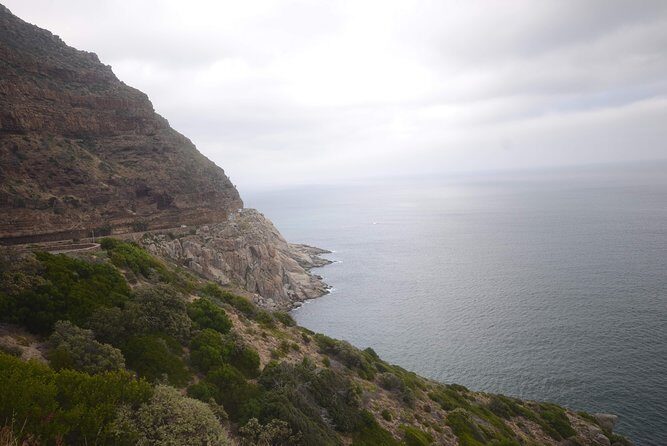 Cape of Good Hope & Boulders Beach Private Tour (Including Lunch) - Final Thoughts