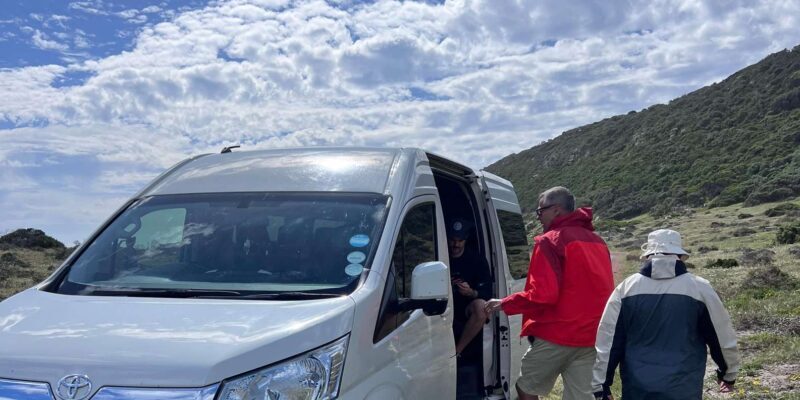 Cape of Good Hope, Chapman's Peak Drive, Penguins , Seals - What Makes This Tour Stand Out?