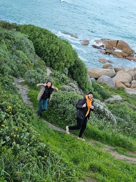 Cape of Good Hope & Penguins Private Tour - An Overview of the Experience