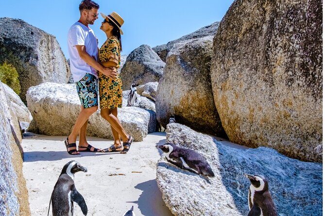 Cape of Good Hope & Penguins Small Group Tour from Cape Town - An In-Depth Look at the Tour Itinerary