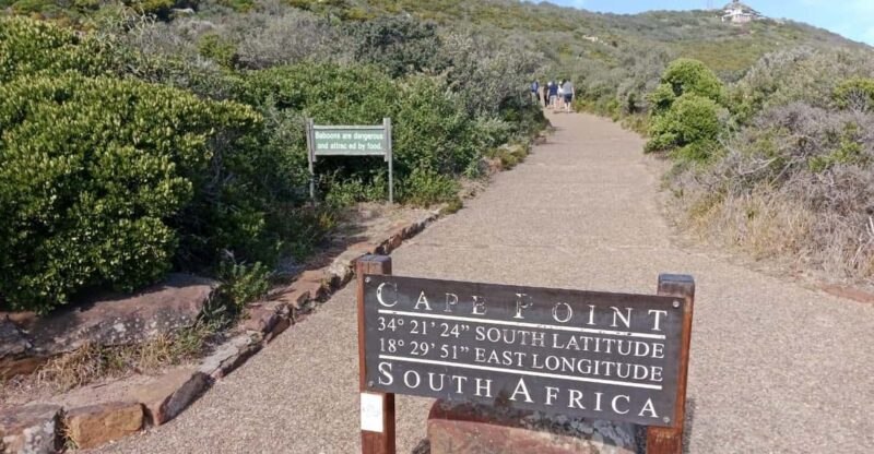 Cape of Good Hope & Seal Island Cruise" - Key Points