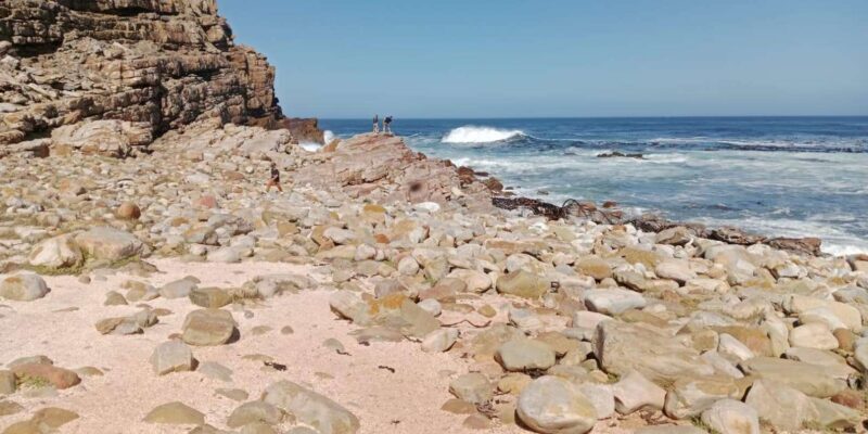 Cape of Good Hope & Seal Island Cruise" - Why This Tour Offers Value