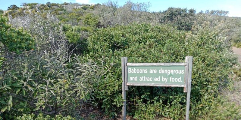 Cape of Good Hope & Seal Island Cruise" - Who Would Love This Tour