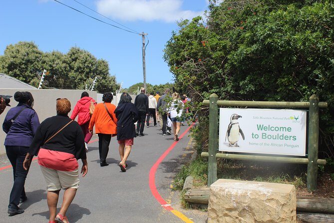 Cape of Good Hope T Mountain Bo-Kaap Penguins Private +Tickets - The Sum Up