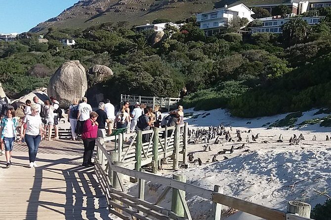 Cape of Good Hope T Mountain Bo-Kaap Penguins Private +Tickets - FAQ