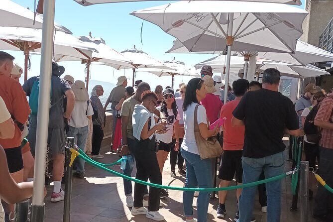 Cape of Good Hope, Table Mountain & Penguins Tour + All Tickets - What Does the Tour Mean for You?