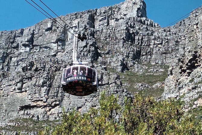 Cape of Good Hope, Table Mountain & Penguins Tour + All Tickets - Final Thoughts