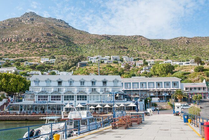 Cape Peninsula & Boulders Beach Day Trip from Cape Town - Authentic Experiences and Traveler Quotes