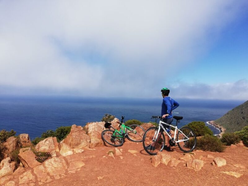 Cape Peninsula: Cycle & Drive Private Full Day Tour - What to Expect on the Cape Peninsula: Cycle & Drive Tour