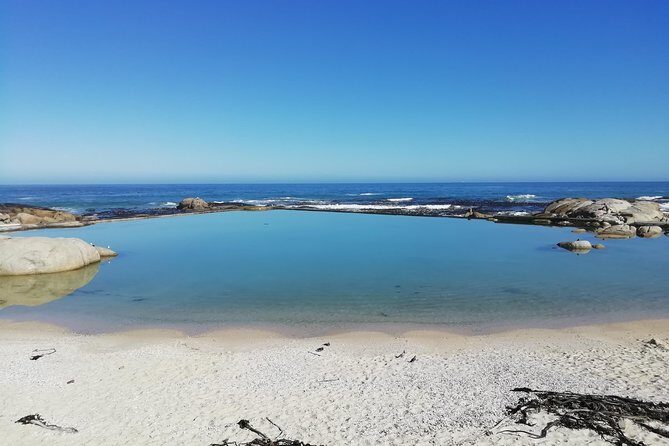 Cape Peninsula Day Tour - An In-Depth Look at the Cape Peninsula Tour
