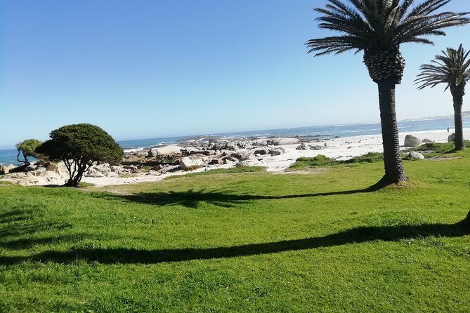 Cape Peninsula Day Tour - Who Will Love This Tour?