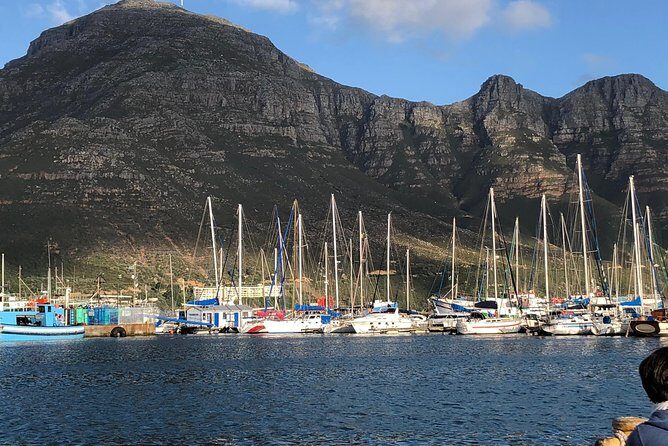 Cape Peninsula Day Tour - FAQ