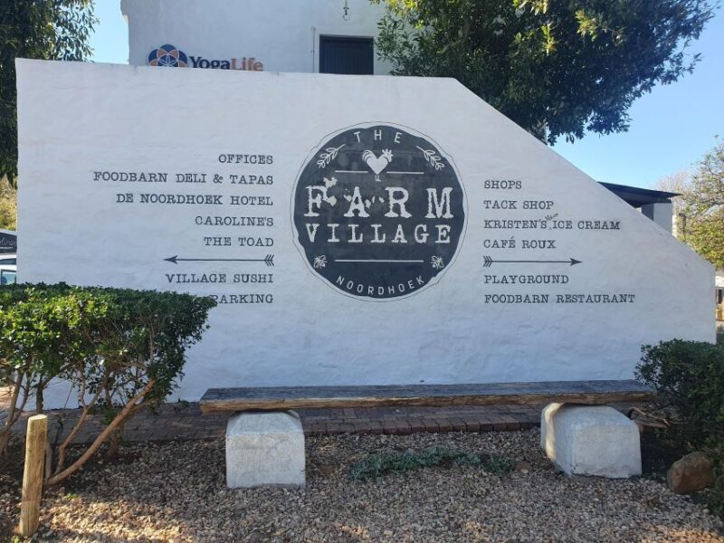 Cape Peninsula Full Day Tour In Private Car - What Travellers Are Saying