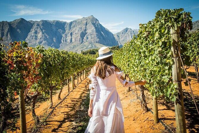 Cape Peninsula Helicopter Private Tour with Stellenbosch Wine Tasting & Lunch - Final Thoughts
