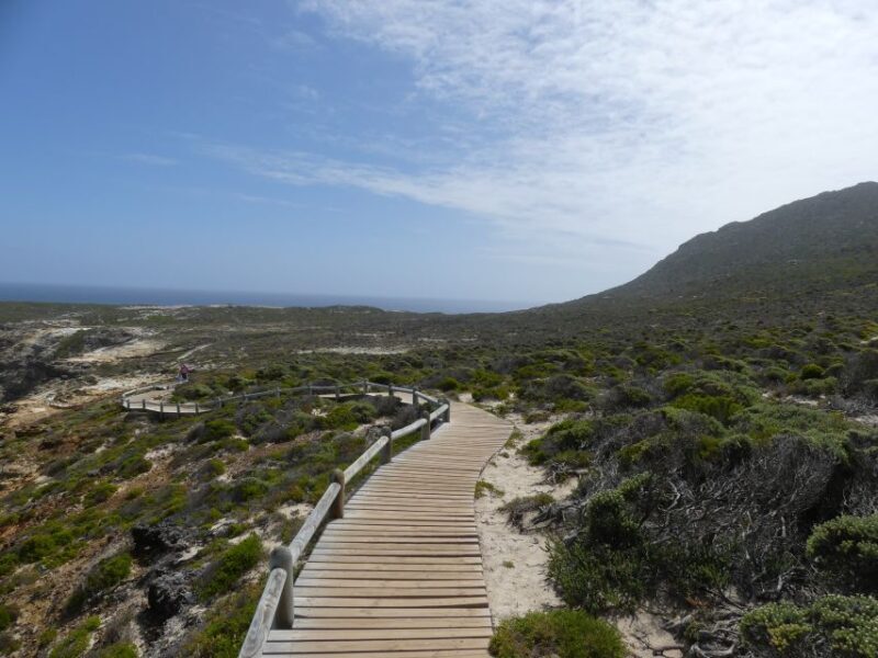 Cape Peninsula Shared Half-Day Tour - Pricing and Value