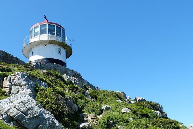 Cape Point and Boulder's Penguins Full Day Tour - Key Points