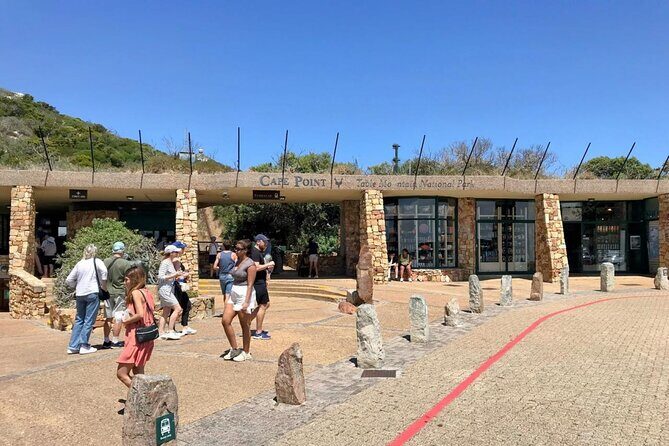 Cape Point and Boulder's Penguins Full Day Tour - An In-Depth Look at the Tour Experience