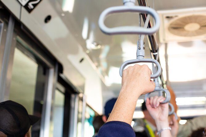Cape Point Flying Dutchman Funicular Return Ticket - Authentic Perspectives from Travelers