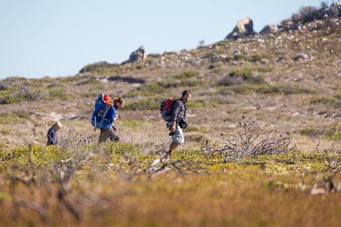 Cape Point Private Nature Tour & Hike - Starting with Penguins at Boulders Beach