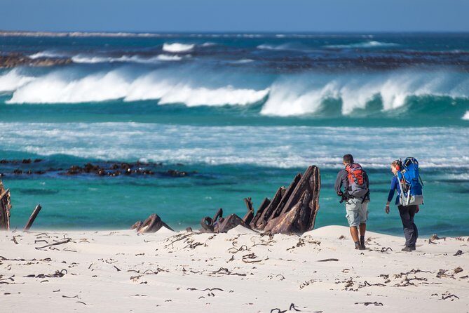 Cape Point Private Nature Tour & Hike - Practical Aspects and Value