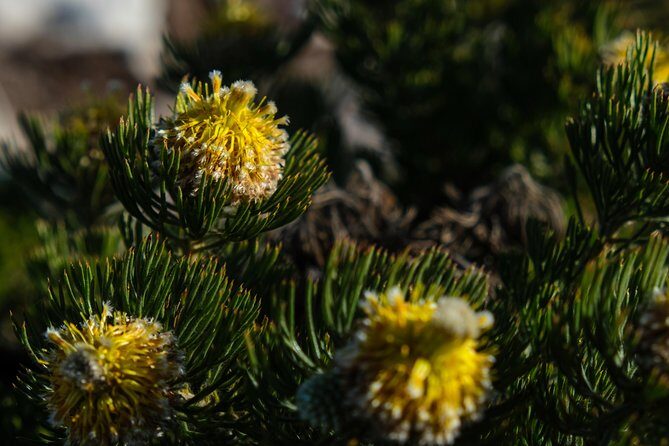 Cape Point Private Nature Tour & Hike - Final Thoughts