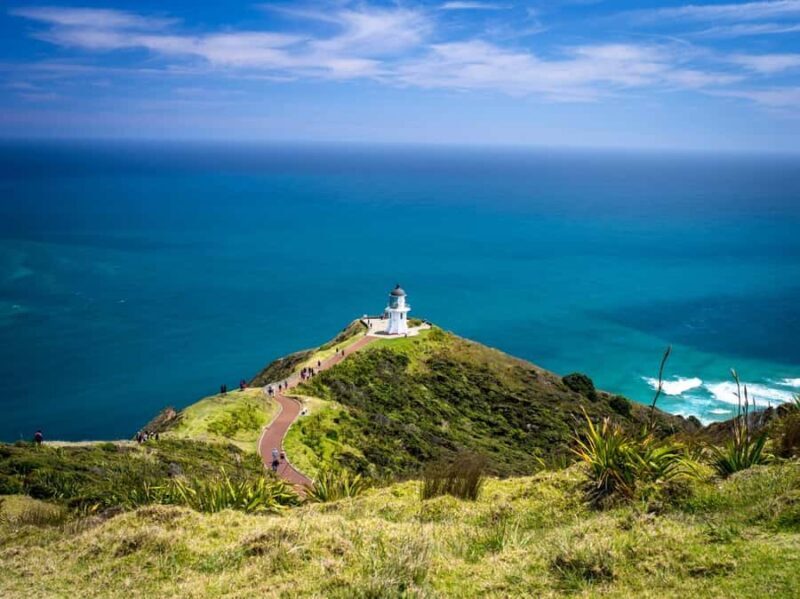 Cape Reinga: Day Trip from Paihia, Kerikeri, or Kaitaia - Introduction