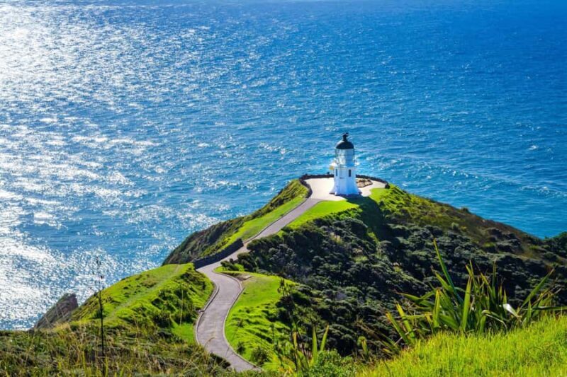 Cape Reinga: Day Trip from Paihia, Kerikeri, or Kaitaia - Transport, Timing, and Value