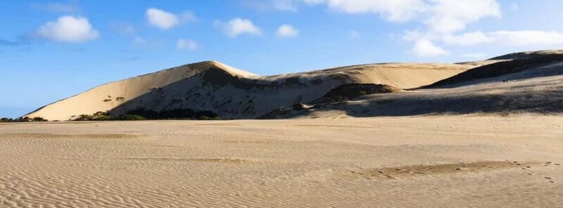 Cape Reinga: Day Trip from Paihia, Kerikeri, or Kaitaia - FAQ