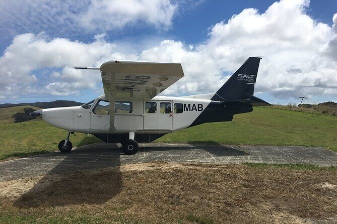 Cape Reinga Half-Day Tour Including Scenic Flight - A Closer Look at the Experience