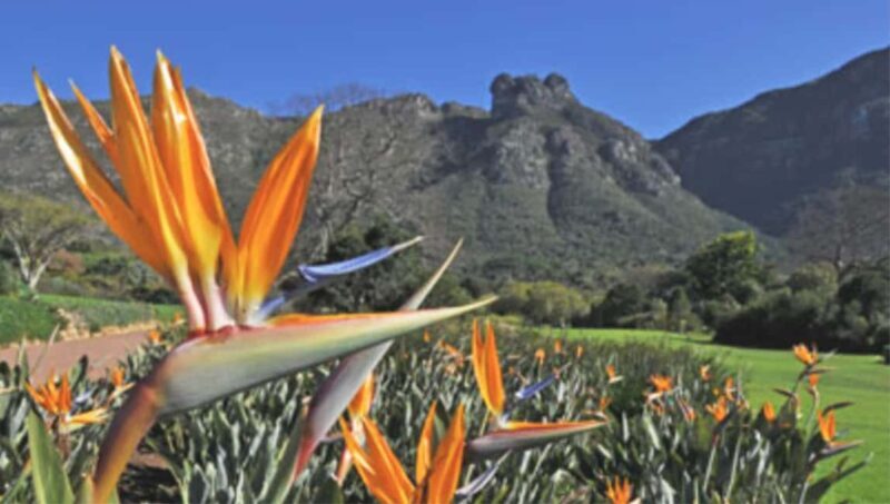 Cape Road Trip, Kirstenbosch Gardens Tour, 3-Course Lunch - Exploring the Western Cape’s Natural and Cultural Charms