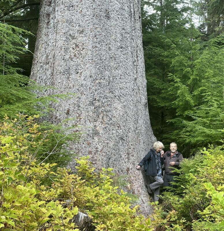 Cape Scott: San Josef Bay Day Hike with Scenic Drive - Practical Details and Tips