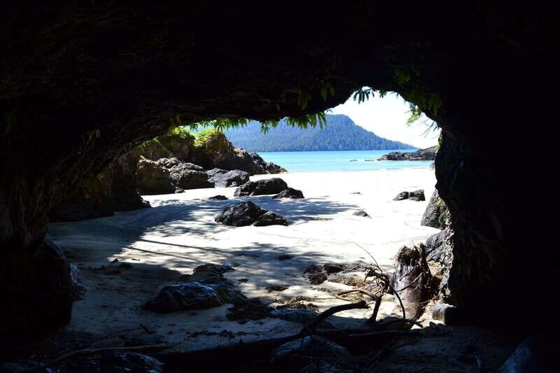 Cape Scott: San Josef Bay Day Hike with Scenic Drive - Who Will Love This Tour?