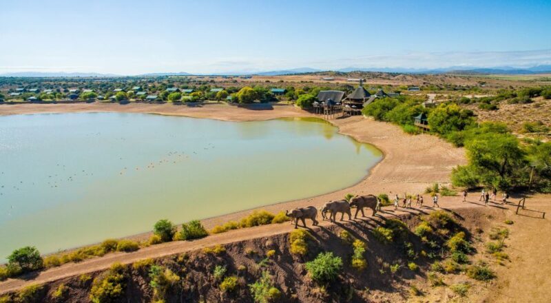 Cape Town: 2-Day Wildlife Tour with Safaris and Luxury Stay - Key Points