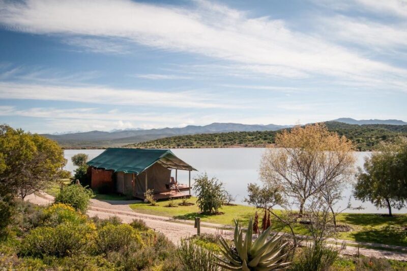 Cape Town: 2-Day Wildlife Tour with Safaris and Luxury Stay - The Itinerary in Detail